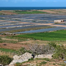 Salt production northeast of Oualidia